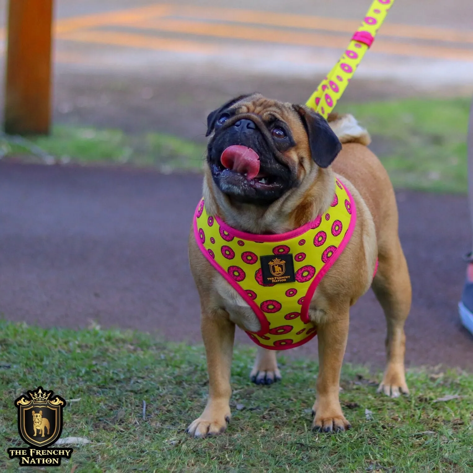 "Donut Life" Reversible Harness