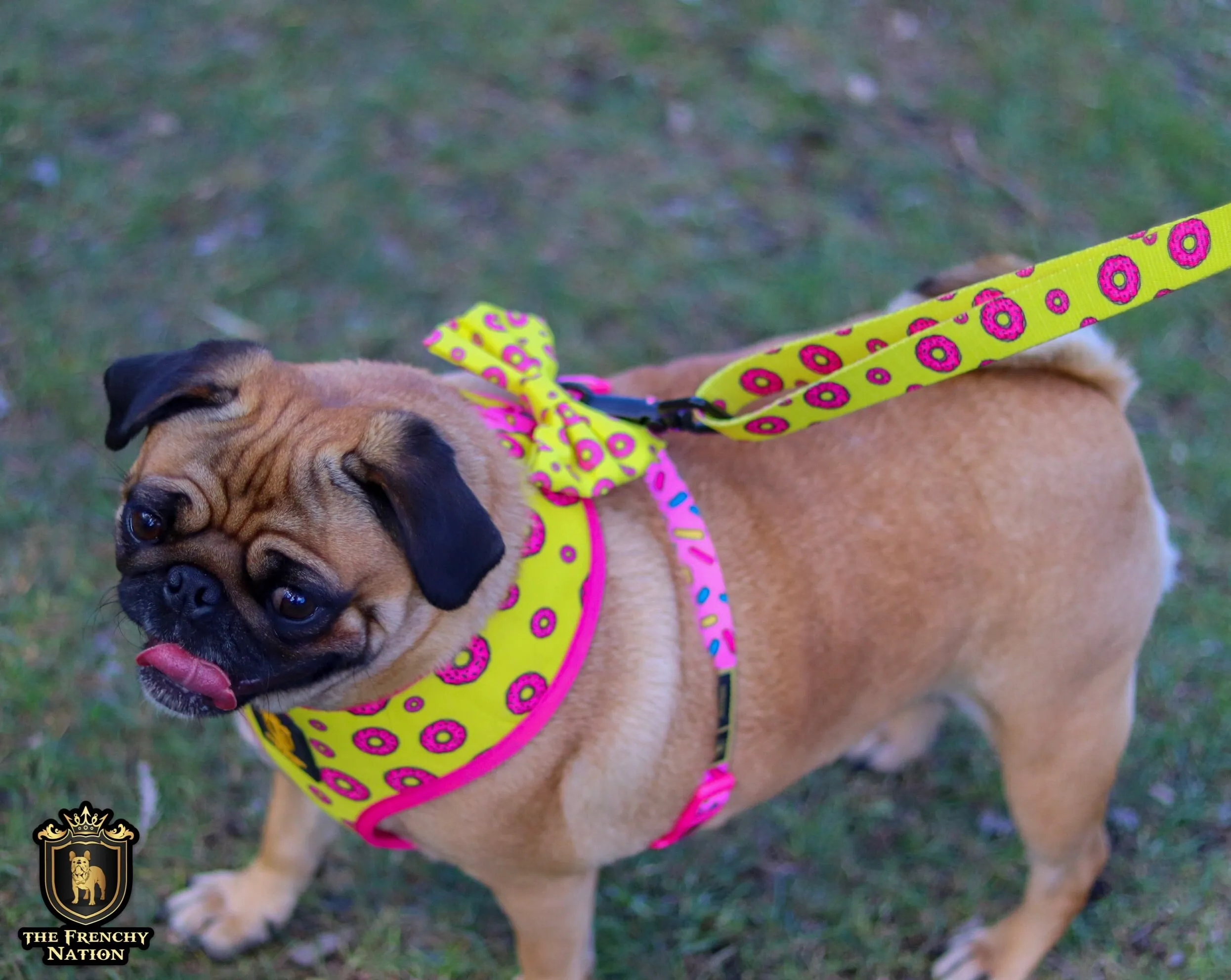 "Donut Life" Reversible Harness